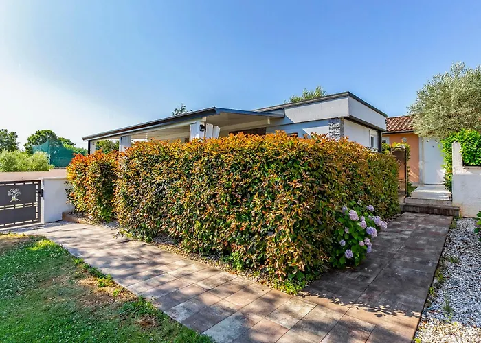 Σπίτι διακοπών Mobile Premium By Interhome Πούλα